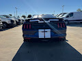 2019 Ford Mustang Shelby GT350