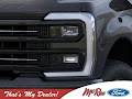 2025 Ford F-350SD Platinum